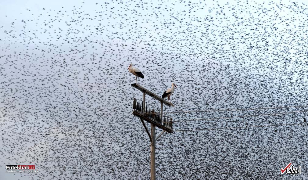 تصاویر : دیدنی‌های امروز یکشنبه ۲۱ بهمن ماه