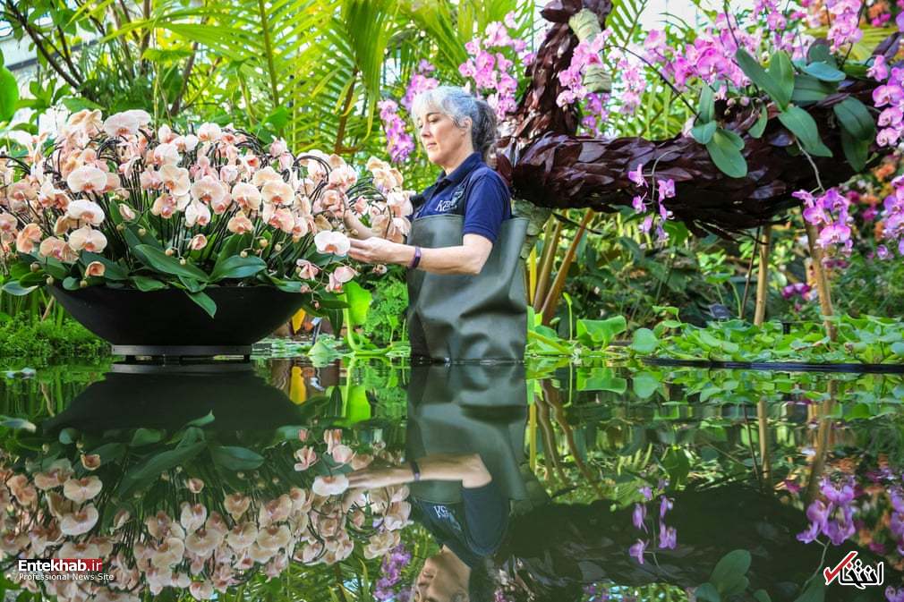 تصاویر : دیدنی‌های امروز یکشنبه ۲۱ بهمن ماه