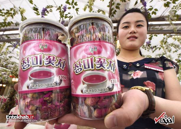 تصاویر : کره شمالی