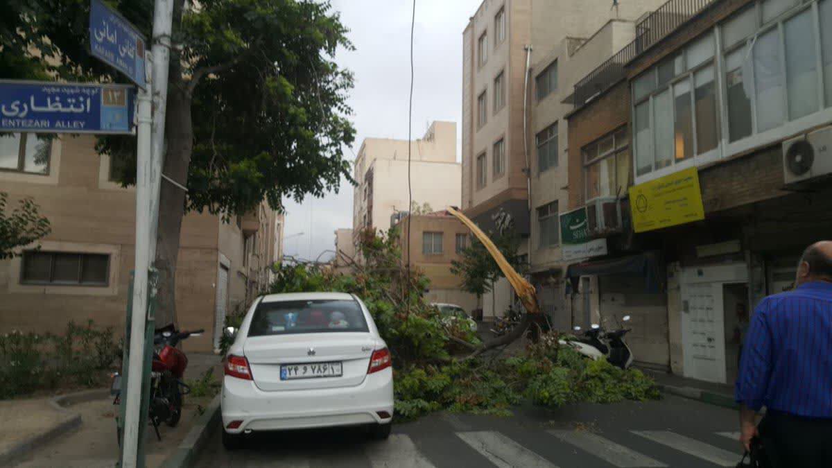 اورژانس تهران:76 مصدوم و یک تن فوتی در طوفان امروز تهران