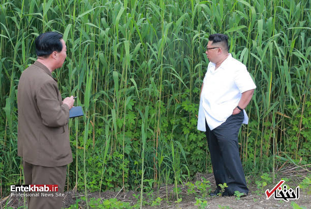 عکس/ سرکشی رهبر کره شمالی به مزارع کشاورزی