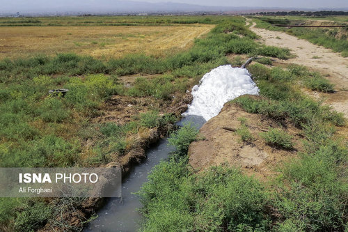 گزارش تکان دهنده ایسنا: اینجا «سرطان» میکارند (+ عکس)