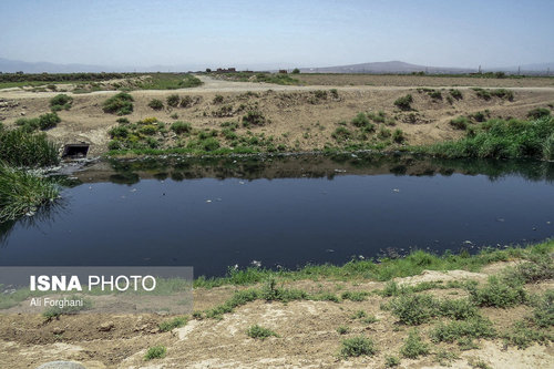 گزارش تکان دهنده ایسنا: اینجا «سرطان» میکارند (+ عکس)