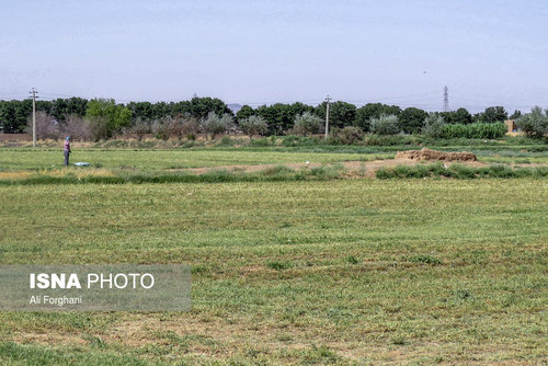 گزارش تکان دهنده ایسنا: اینجا «سرطان» میکارند (+ عکس)