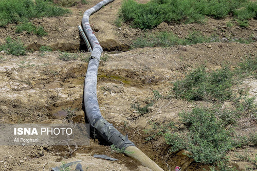 گزارش تکان دهنده ایسنا: اینجا «سرطان» میکارند (+ عکس)