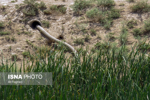 گزارش تکان دهنده ایسنا: اینجا «سرطان» میکارند (+ عکس)