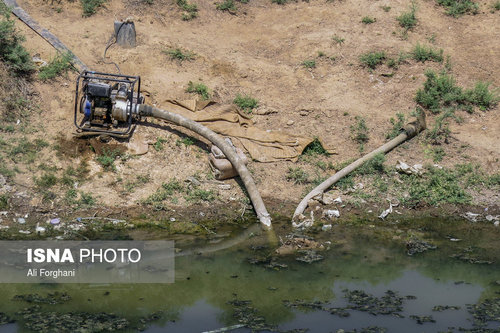 گزارش تکان دهنده ایسنا: اینجا «سرطان» میکارند (+ عکس)