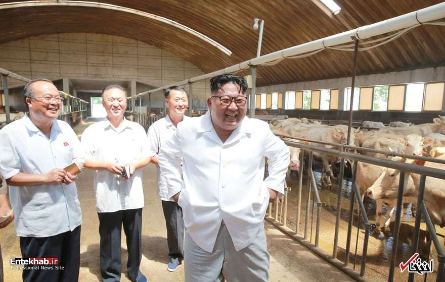 عکس/ رهبر کره شمالی در گاوداری