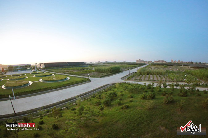 تصاویر : کیم جونگ اون