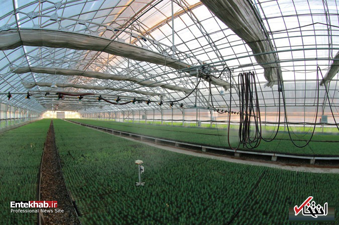 تصاویر : کیم جونگ اون