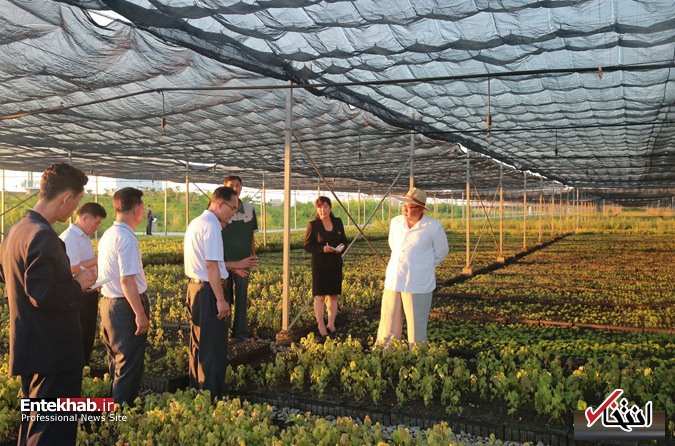 تصاویر : کیم جونگ اون