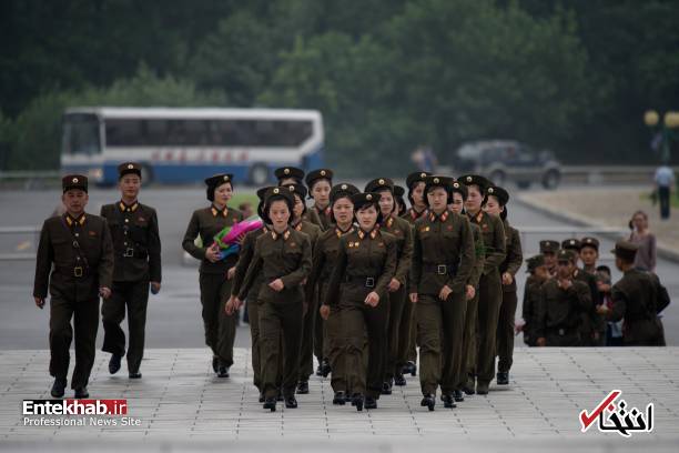 تصاویر : جنگ دو کره