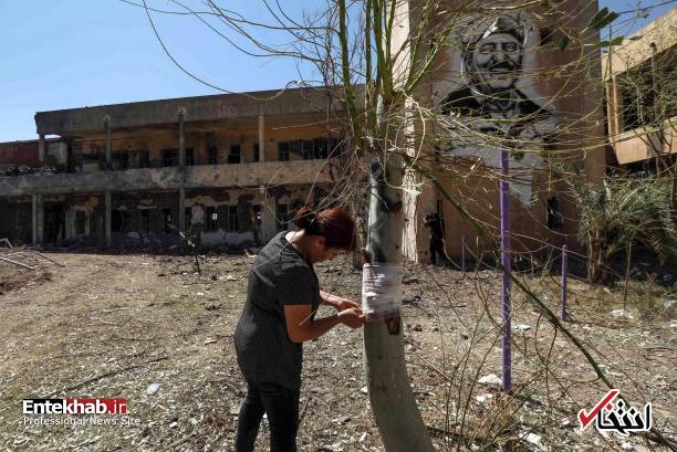 تصاویر جدید