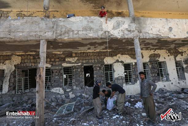 تصاویر جدید