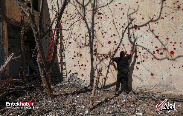 تصاویر جدید