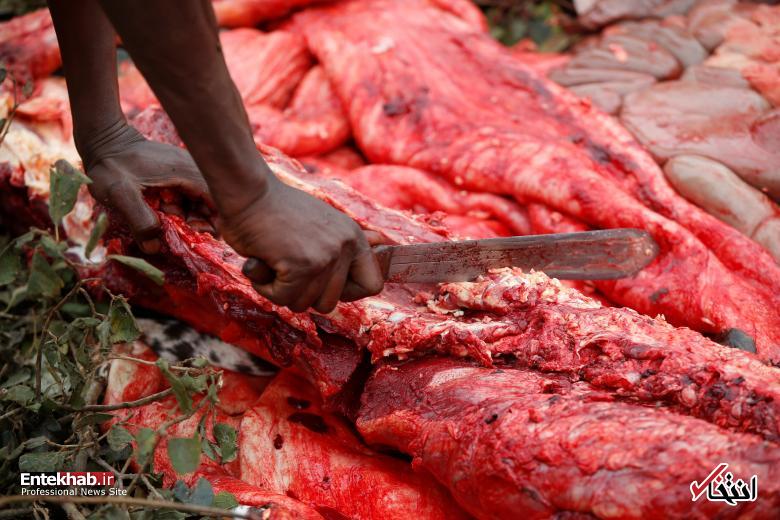 تصاویر : قبیله ماسایی