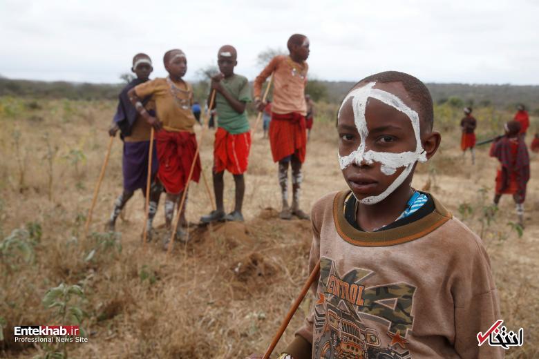 تصاویر : قبیله ماسایی