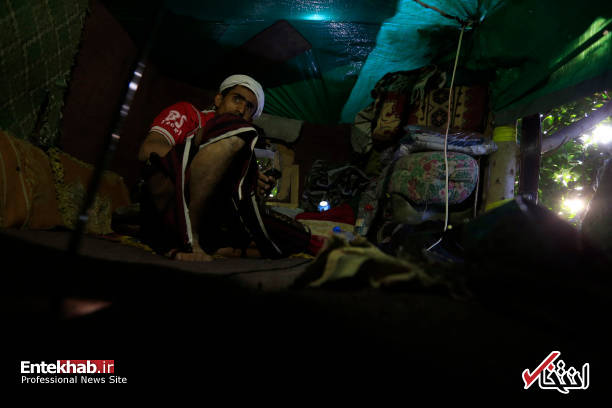 عکس/ زندگی مرد یمنی روی درخت