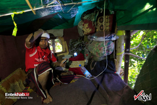 عکس/ زندگی مرد یمنی روی درخت