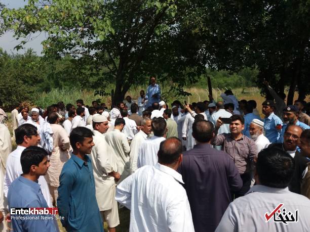 عکس/ مزایده گاومیش‌های نواز شریف در پاکستان