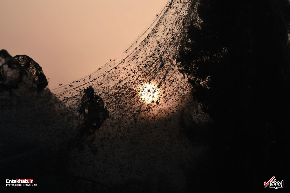 سواحل عنکبوتی دریاچه ویستونیس یونان