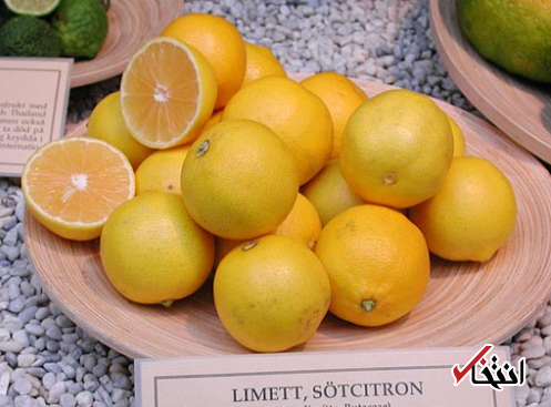 خواص لیمو شیرین چیست؟