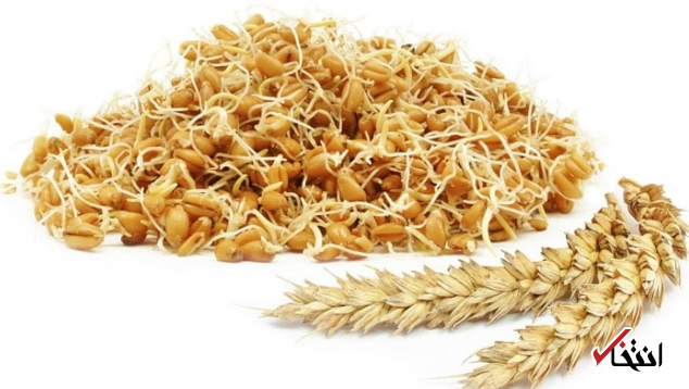 جوانه گندم چه خواصی برای سلامتی دارد؟