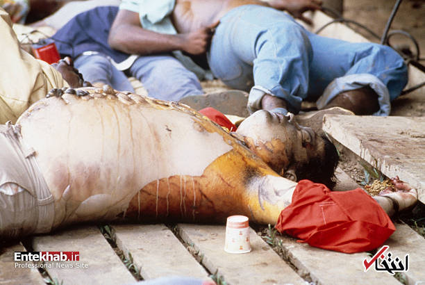 تصاویر : تصاویر :