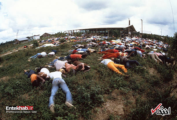 تصاویر : تصاویر :