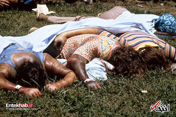 تصاویر : تصاویر :