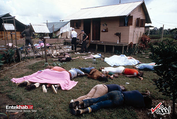 تصاویر : تصاویر :