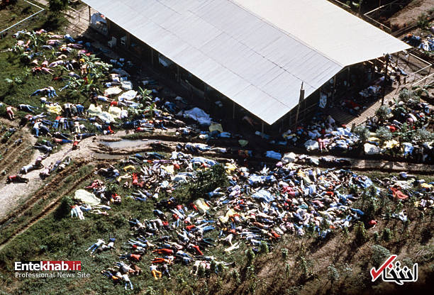 تصاویر : تصاویر :