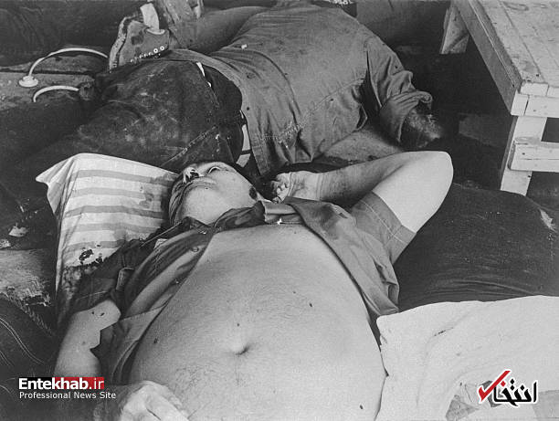 تصاویر : تصاویر :