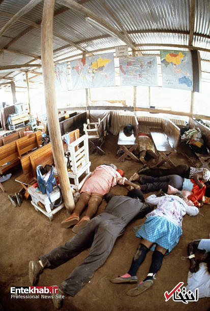 تصاویر : تصاویر :