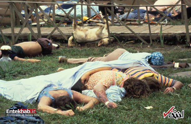 تصاویر : تصاویر :