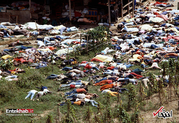 تصاویر : تصاویر :