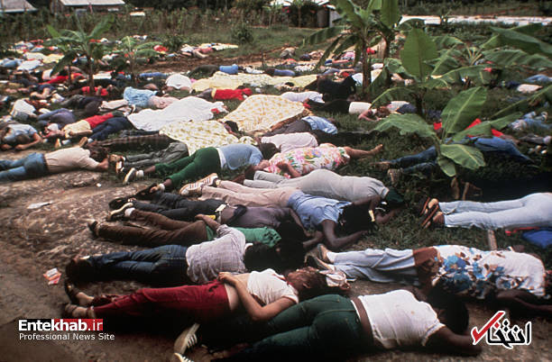 تصاویر : تصاویر :