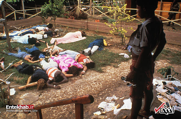 تصاویر : تصاویر :