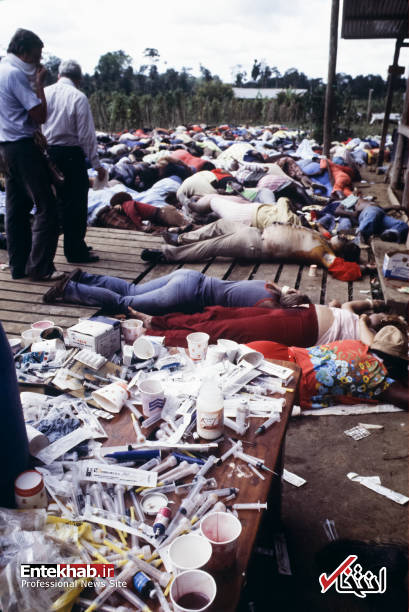 تصاویر : تصاویر :