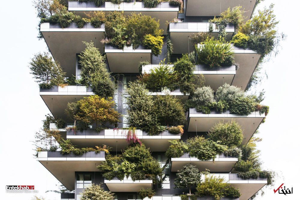 تصاویر : برترین پروژه های معماری سال 2018