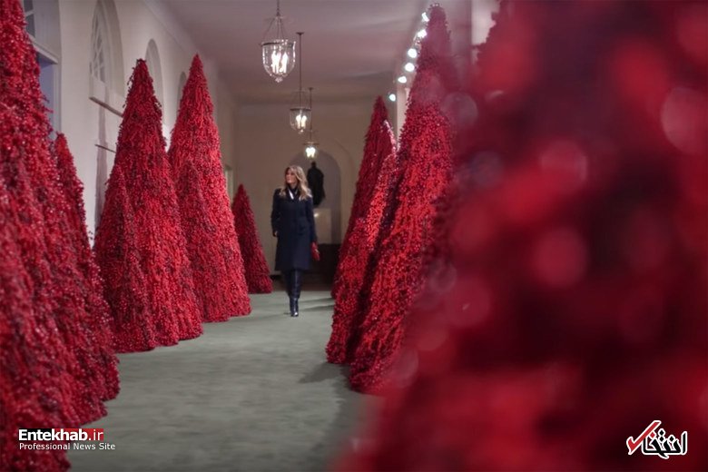 عکس/ سلیقه ملانیا ترامپ در تزئین درختان کریسمس جنجالی شد