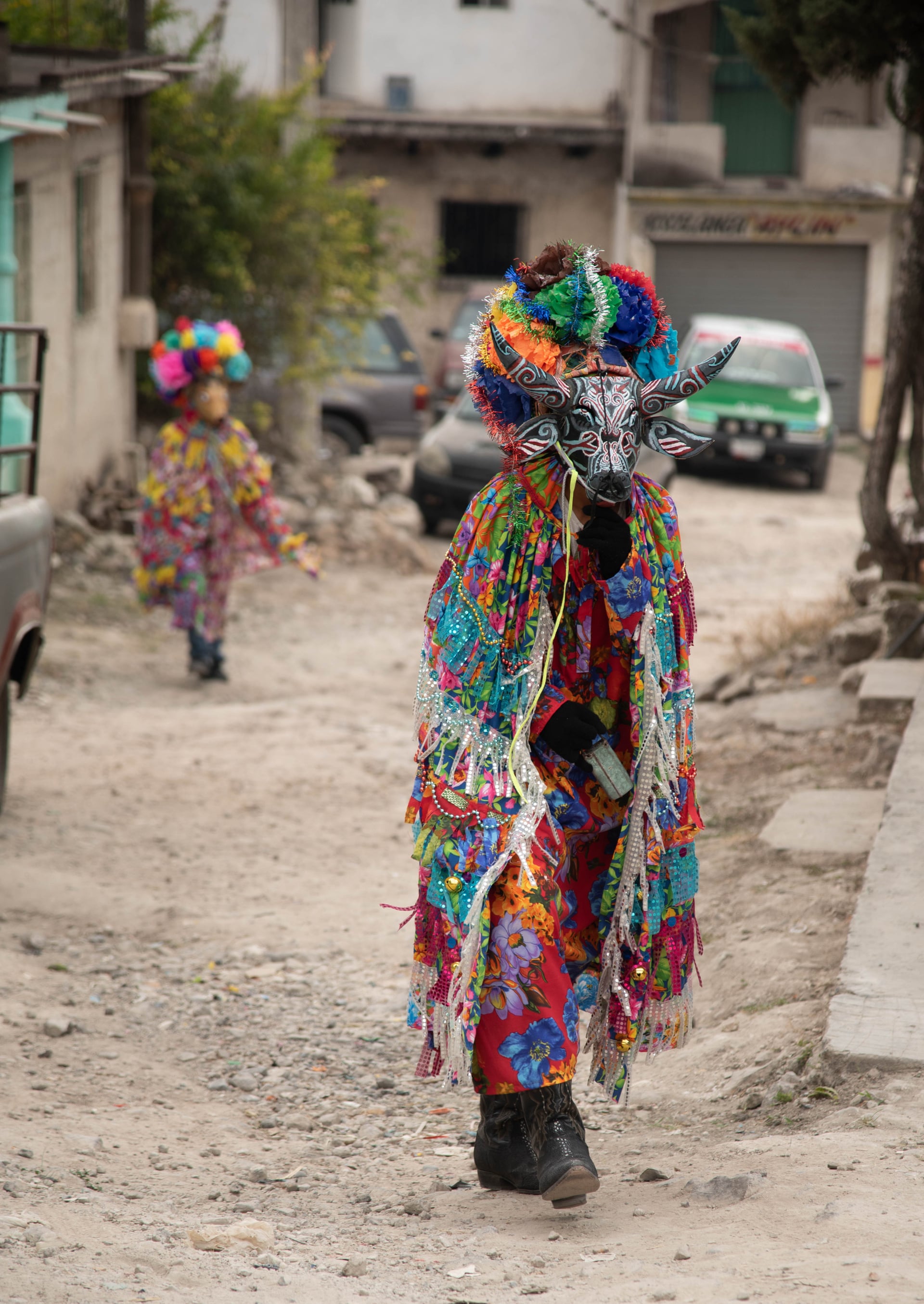 تصاویر: کاراناول آفریقایی - مکزیکی کویولیلو | جشنی با ماسک حیوانات میراث کارگران نیشکر