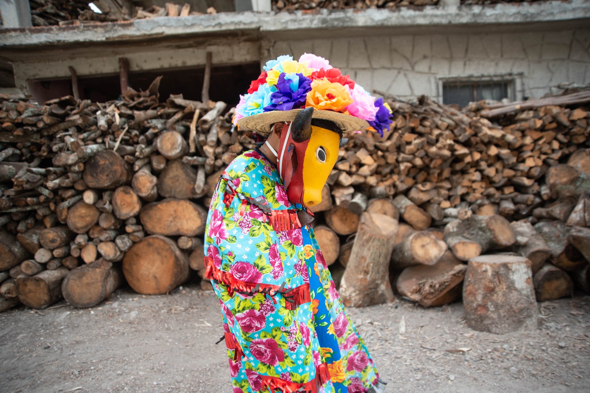 تصاویر: کاراناول آفریقایی - مکزیکی کویولیلو | جشنی با ماسک حیوانات میراث کارگران نیشکر