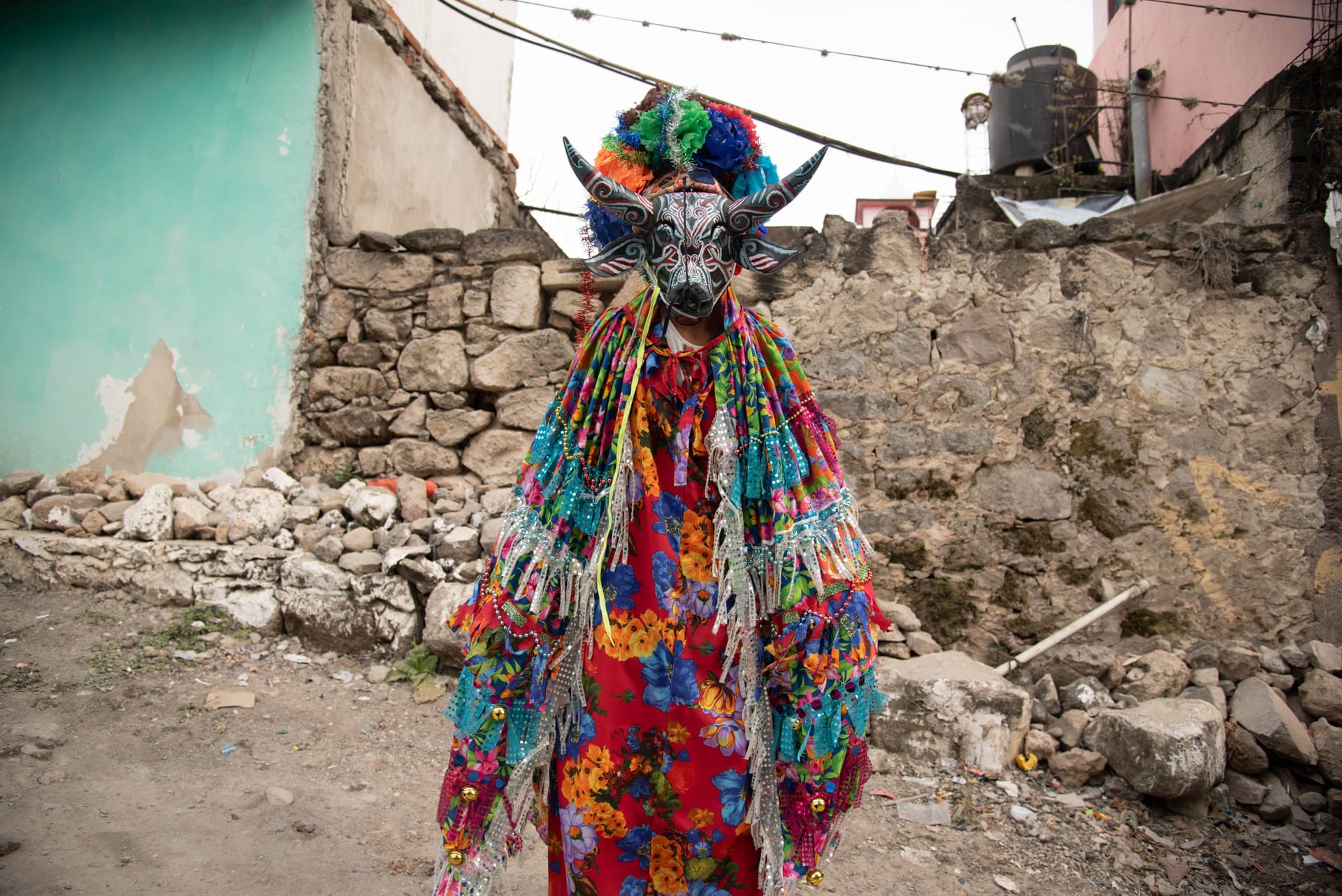 تصاویر: کاراناول آفریقایی - مکزیکی کویولیلو | جشنی با ماسک حیوانات میراث کارگران نیشکر