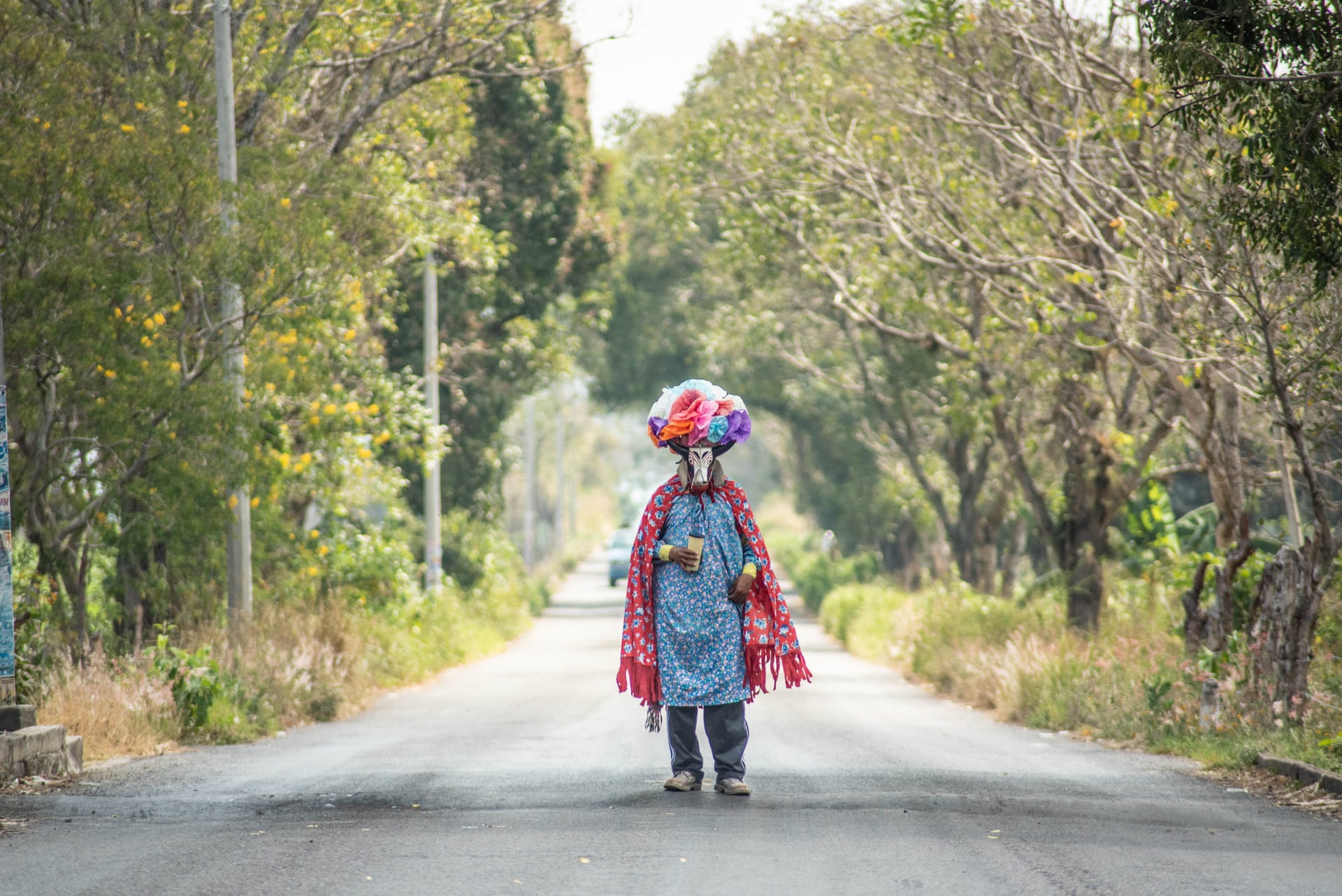 تصاویر: کاراناول آفریقایی - مکزیکی کویولیلو | جشنی با ماسک حیوانات میراث کارگران نیشکر