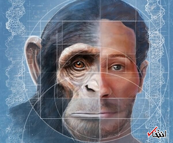 آیا تلاش «استالین» برای ترکیب ژن انسان و شامپانزه حقیقت دارد؟