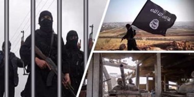 سازمان ملل: ۳۰ هزار نفر از نیروهای خارجی داعش هنوز زنده‌اند
