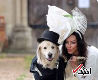 ازدواج  زن بریتانیایی در برنامه زنده تلویزیونی با سگش جنجالی شد +تصاویر