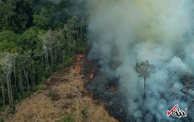 کمک 5 میلیون یورویی  لئوناردو دی کاپریو به مهار آتش سوزی در جنگلهای آمازون