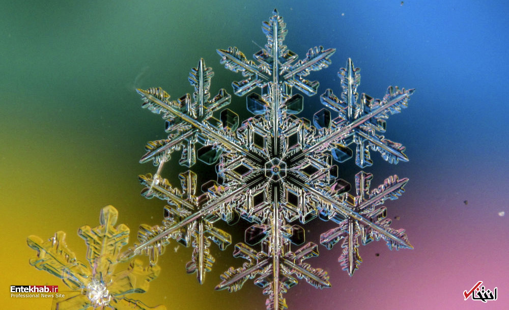 تصاویر : دانه‌های برف زیر میکروسکوپ